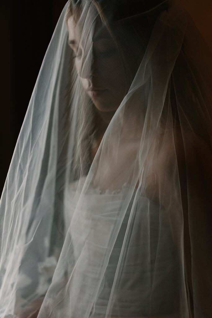 Luxury Bridal Photos in Michigan Wedding Photographer