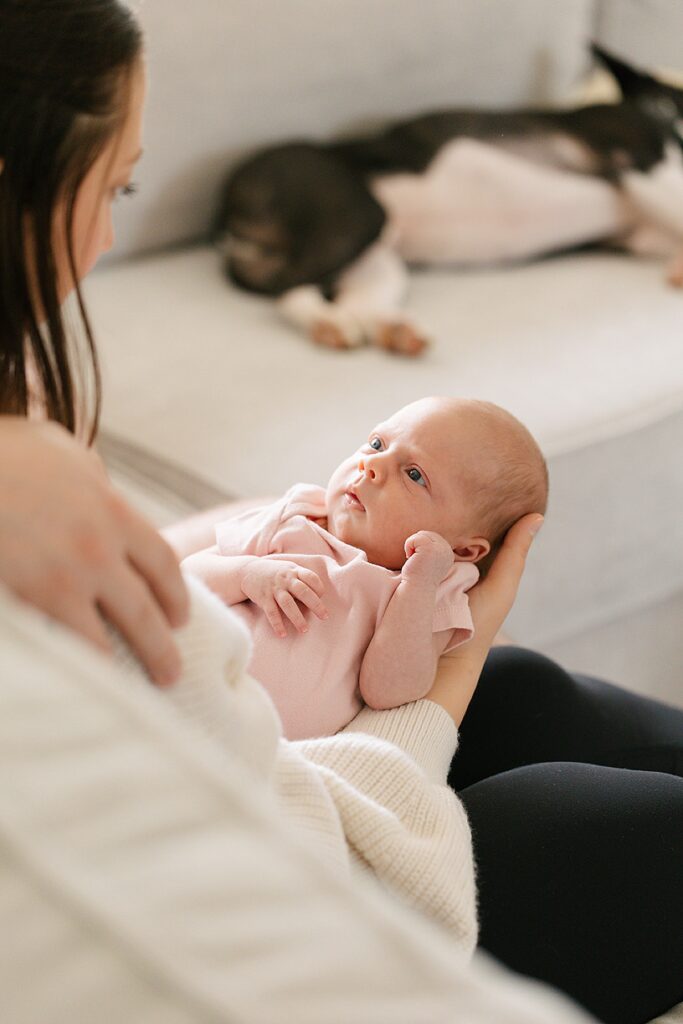 New parents holding their newborn baby on the couch with their dogs during an in-home newborn photography session in Michigan.