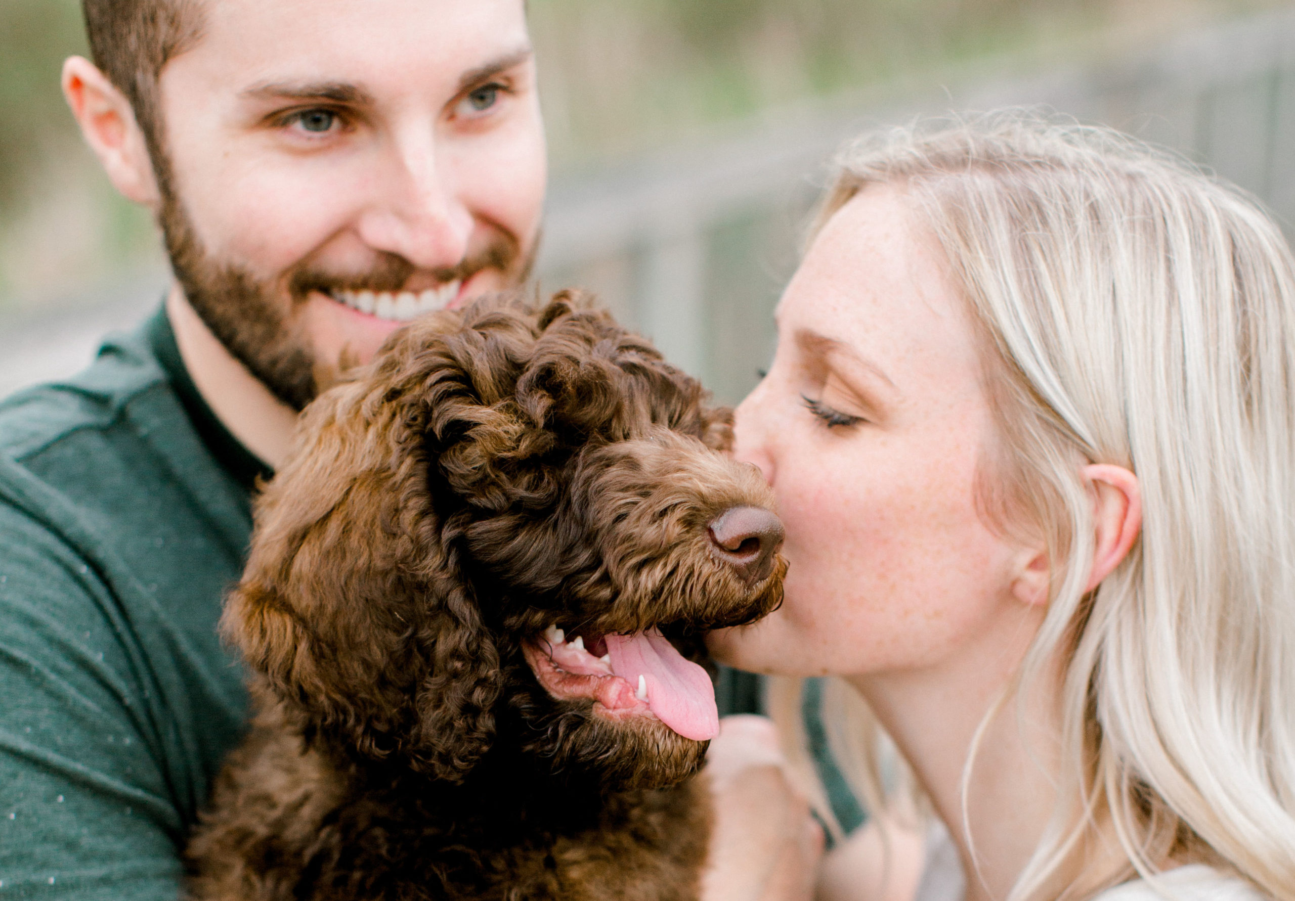 labordoodle puppy engagement southeast michigan